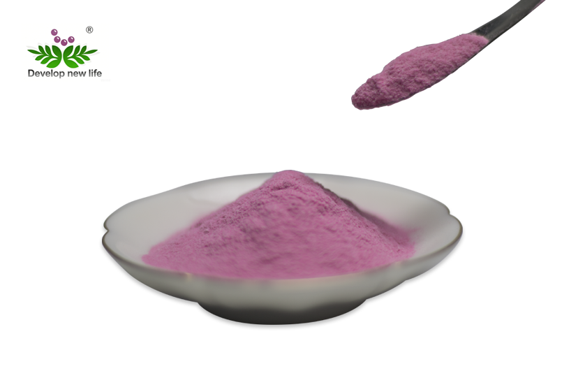 Acerola Cherry Extract Powder